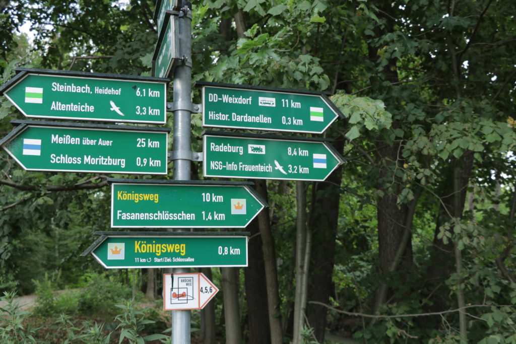 Der 👑 Königsweg in Moritzburg: Wandern zu Aschenbrödel 54 Moritzburg