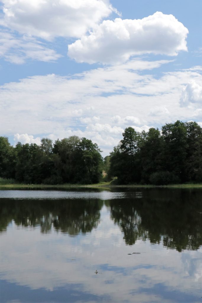 Der 👑 Königsweg in Moritzburg: Wandern zu Aschenbrödel 48 Moritzburg