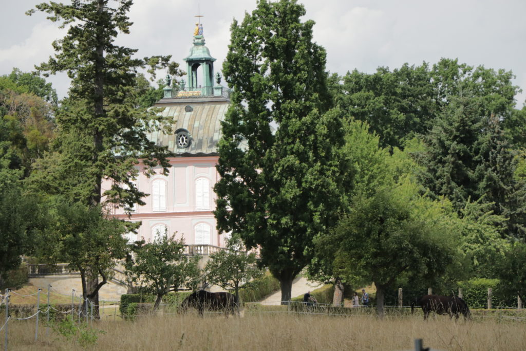 Der 👑 Königsweg in Moritzburg: Wandern zu Aschenbrödel 52 Moritzburg