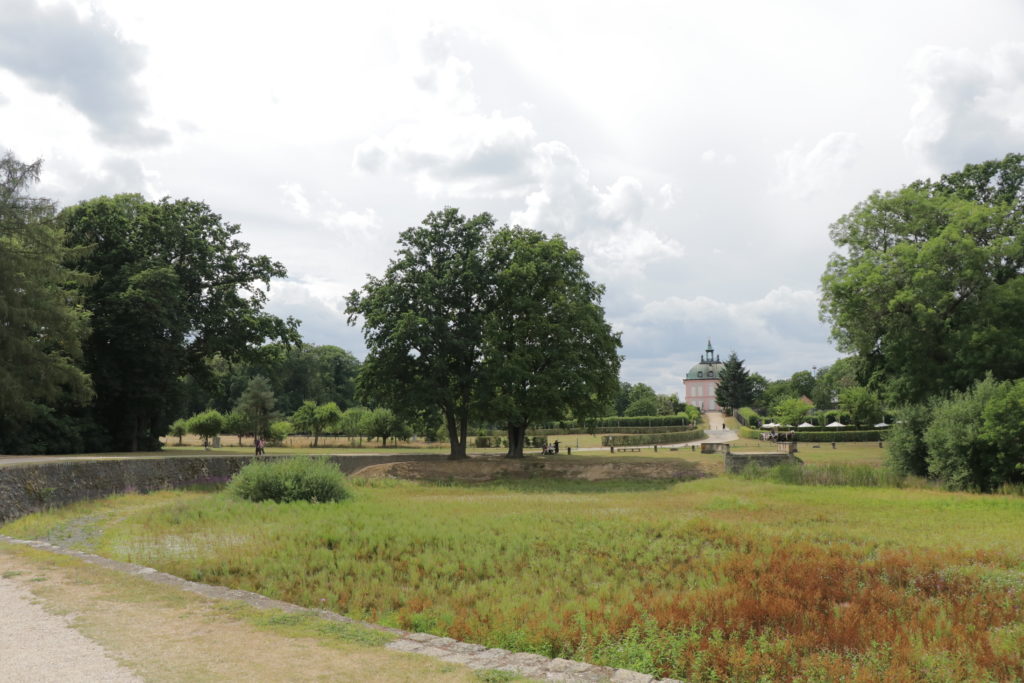Der 👑 Königsweg in Moritzburg: Wandern zu Aschenbrödel 73 Moritzburg