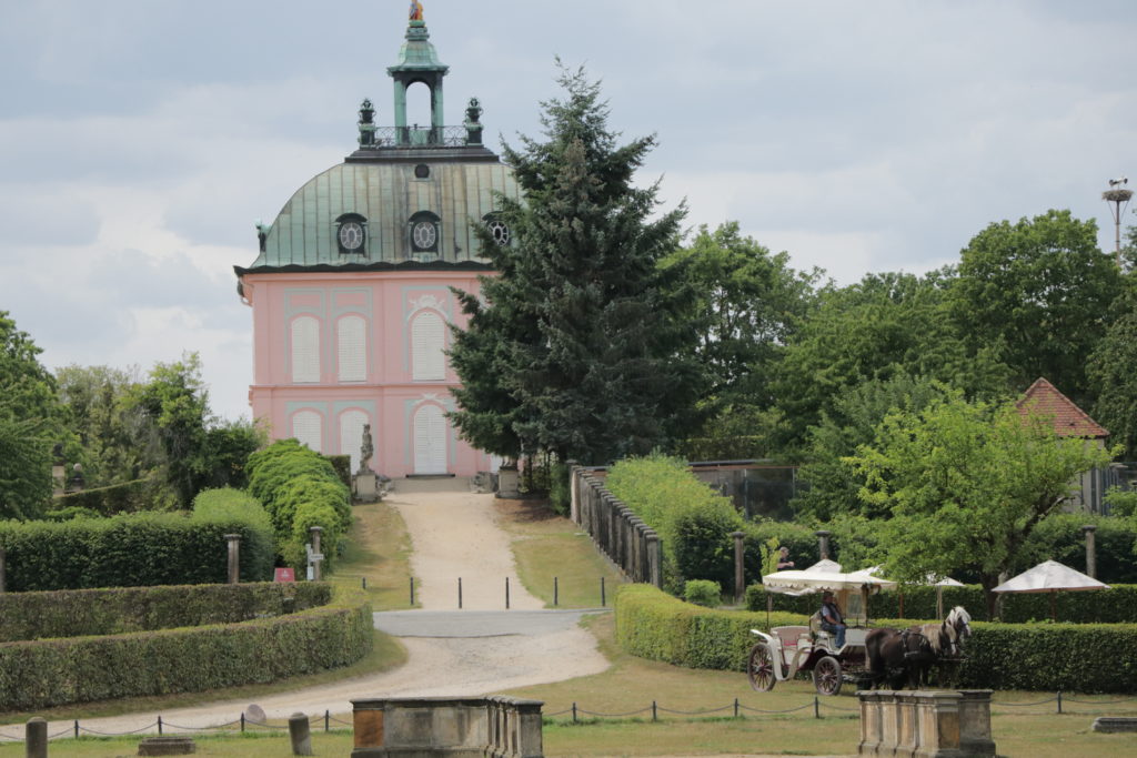 Der 👑 Königsweg in Moritzburg: Wandern zu Aschenbrödel 55 Moritzburg