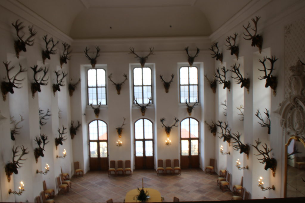 Der 👑 Königsweg in Moritzburg: Wandern zu Aschenbrödel 68 Schloss Moritzburg