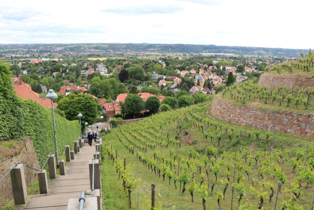 Aussichtspunkte in Dresden Radebeul