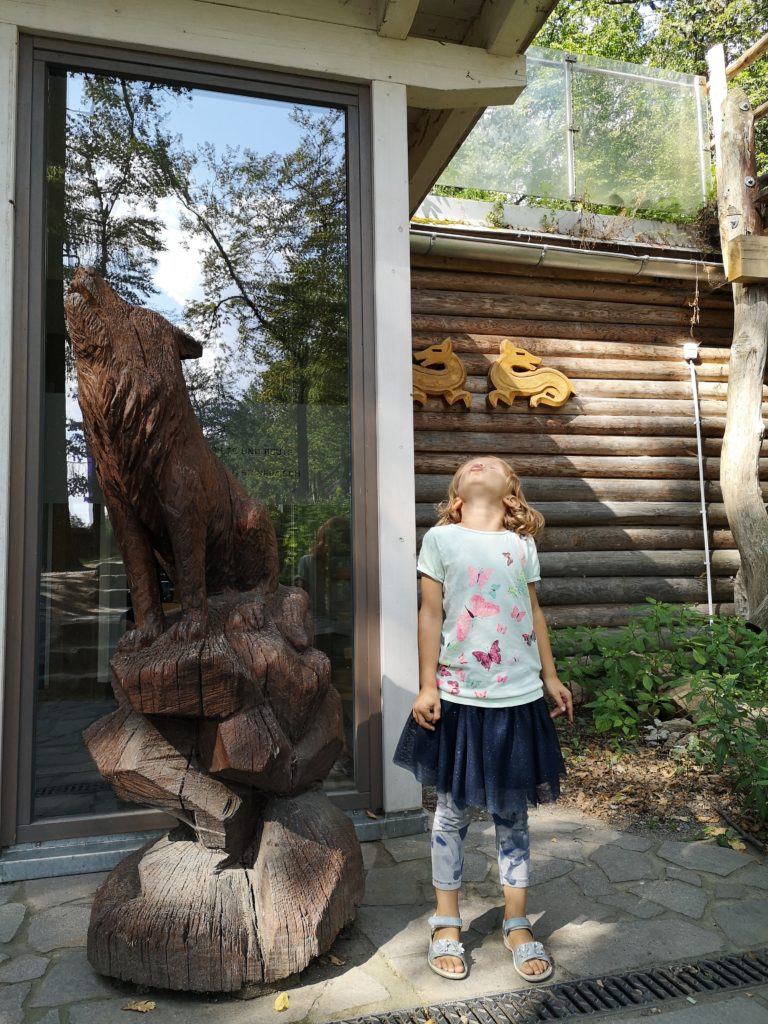 Der 👑 Königsweg in Moritzburg: Wandern zu Aschenbrödel 59 Wildgehege Moritzburg