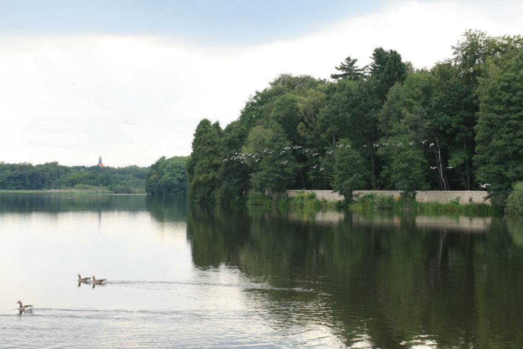Der 👑 Königsweg in Moritzburg: Wandern zu Aschenbrödel 45 Moritzburg