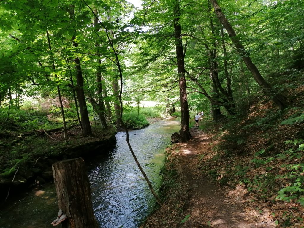 Kirnitzschtal Flößersteig