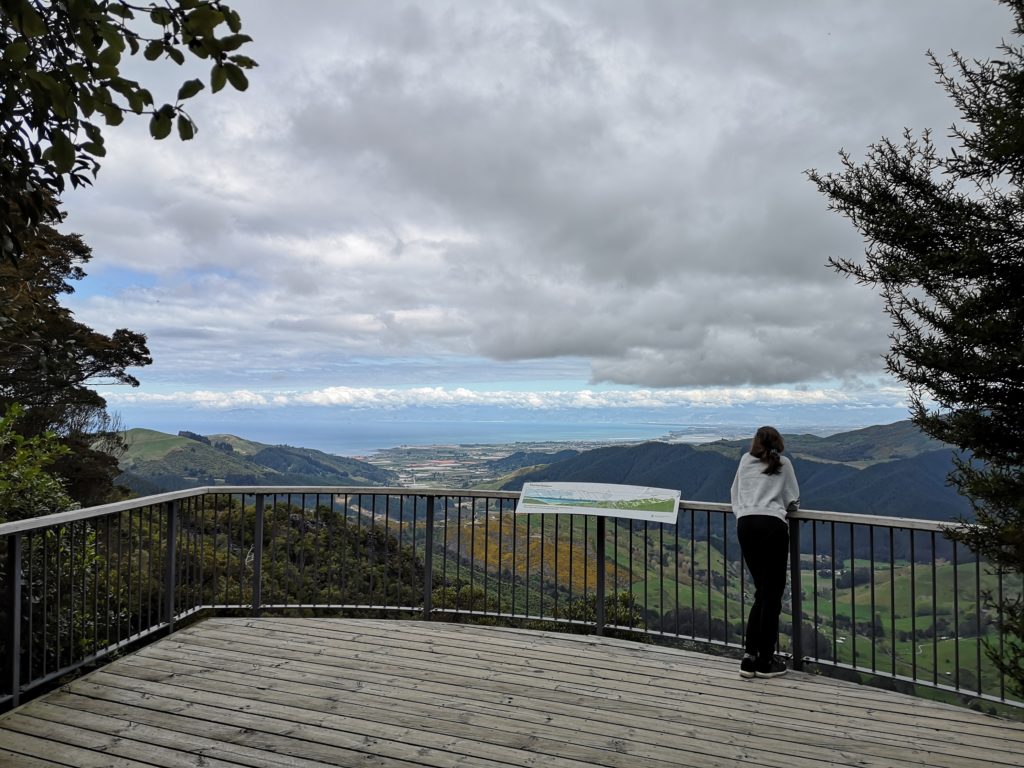 Golden Bay Hawkes Lookout