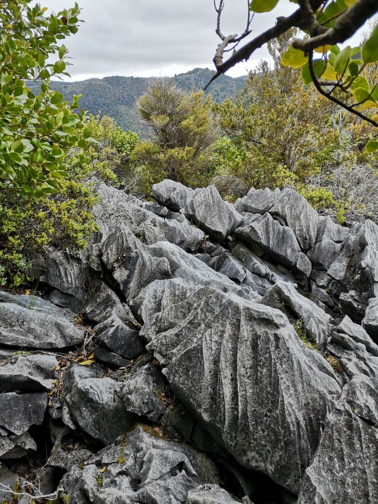 Golden Bay Hawkes Lookout