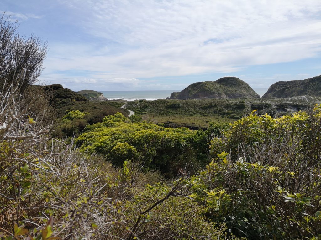 Golden Bay Wharariki Beach