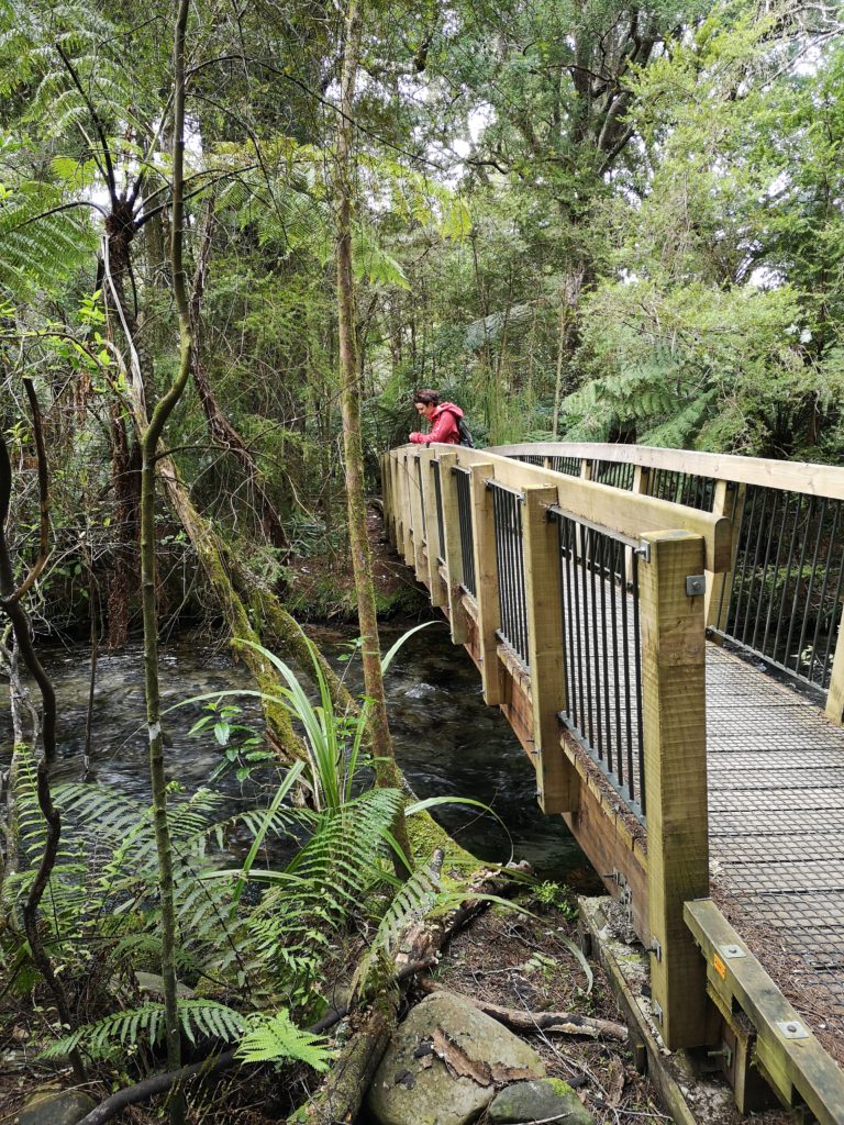 Golden Bay Pupu Springs