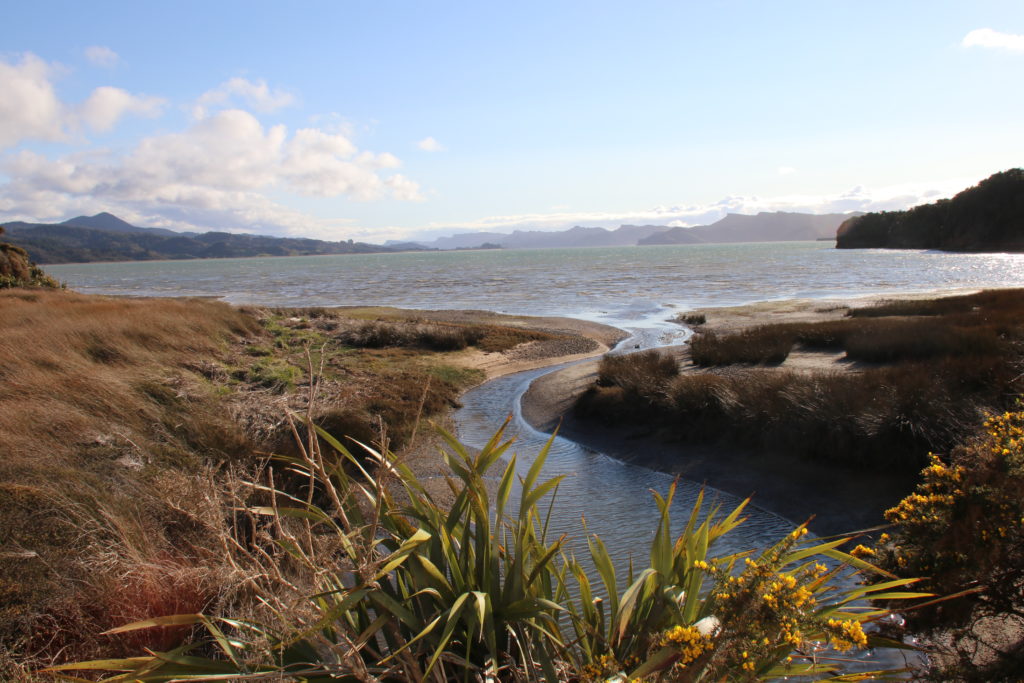 Golden Bay Whanganui Inlet