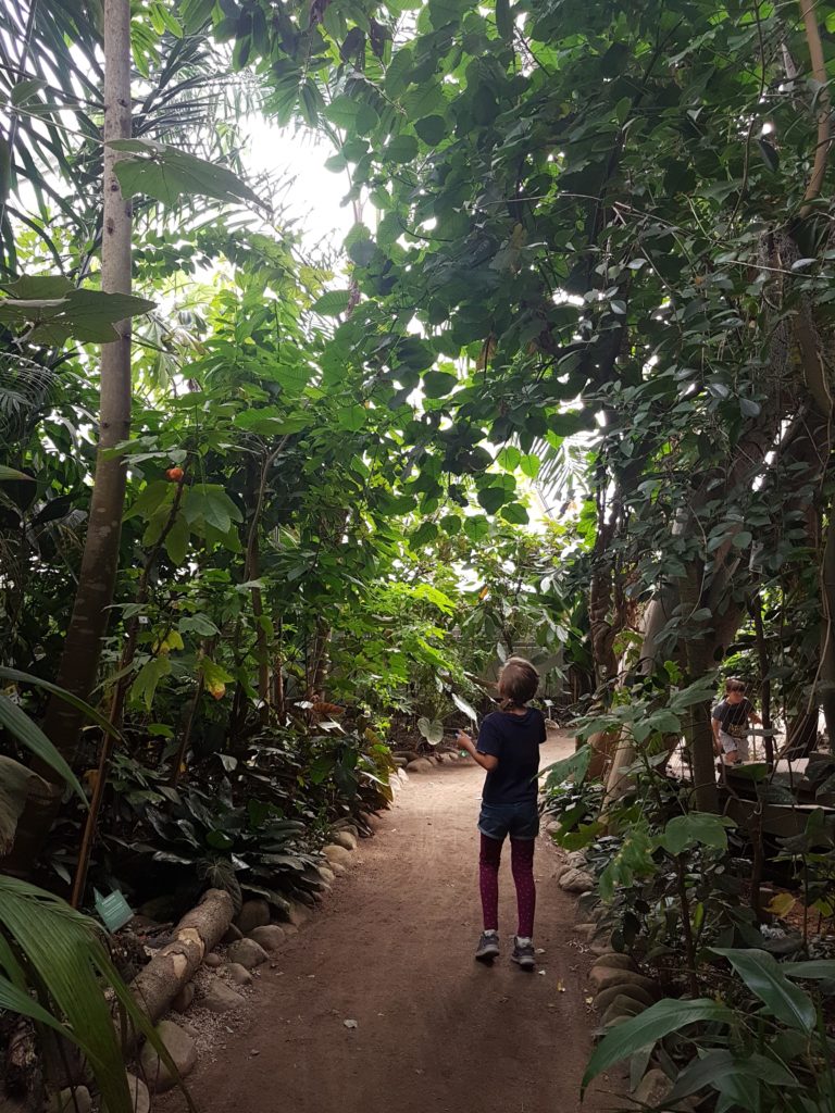 Aarhus Botanischer Garten