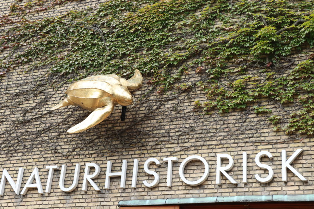 Aarhus Naturhistorisk Museet
