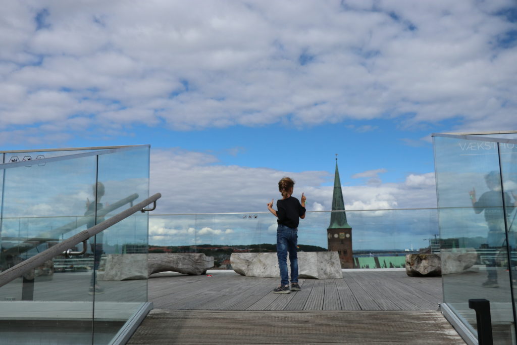 Aarhus Salling