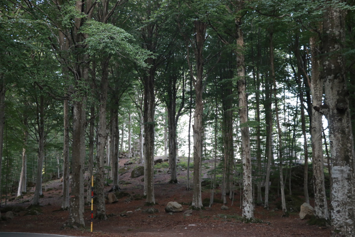 Monte Amiata Toskana