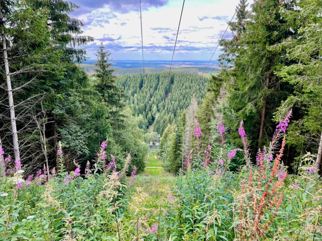 25 Tipps für den Harz mit Kindern: Hexen, Luchse und viel ♥ 55 Harz Liebesbankweg