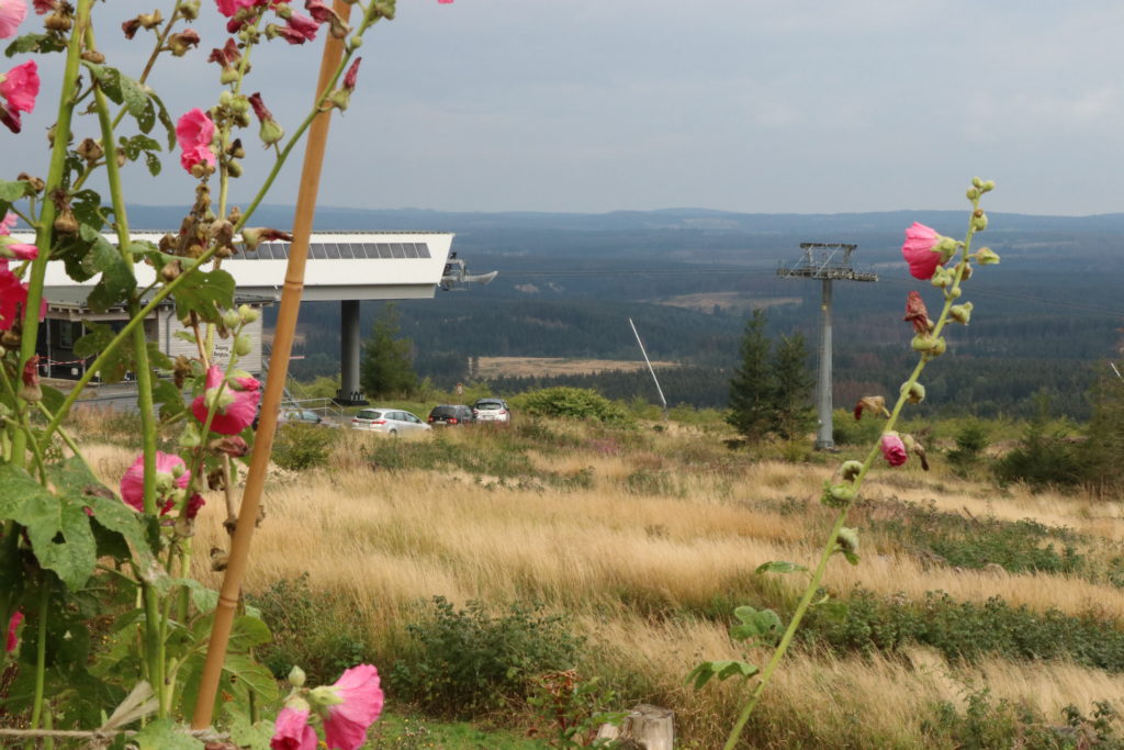 Harz Wurmberg