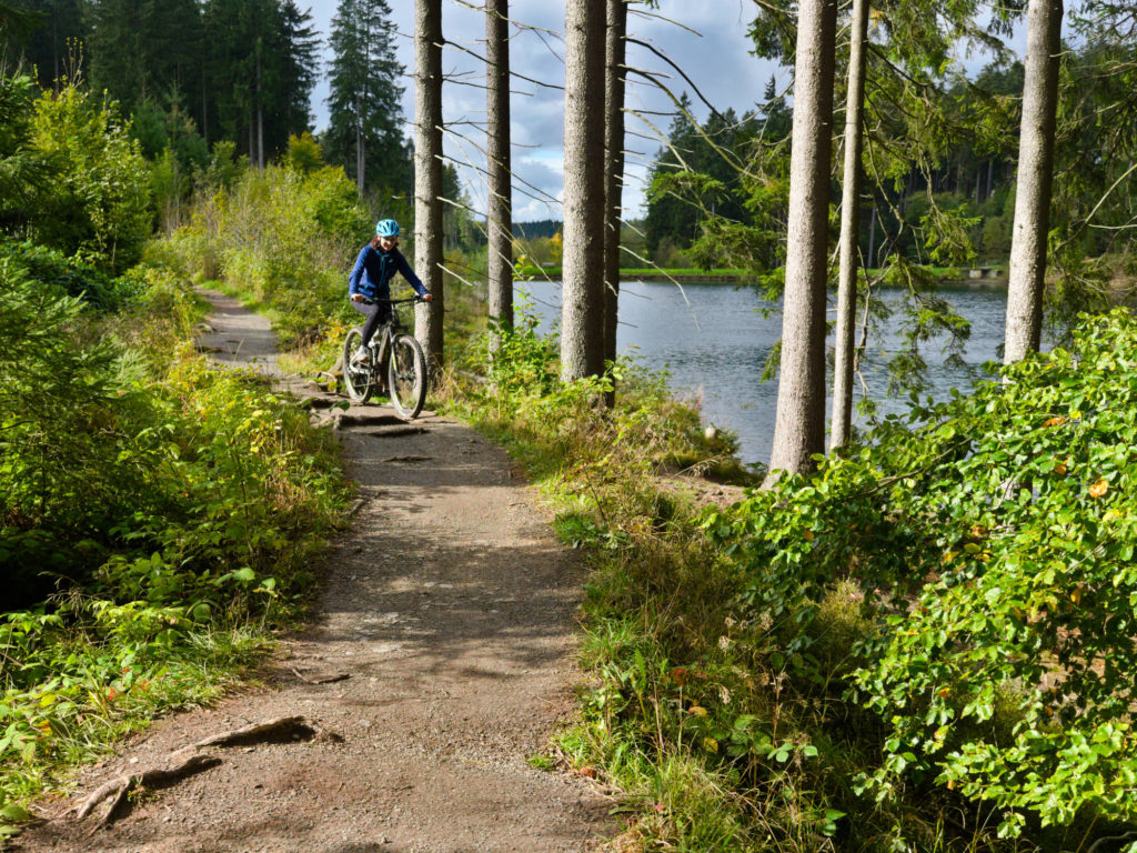 Harz mit Kindern MTB