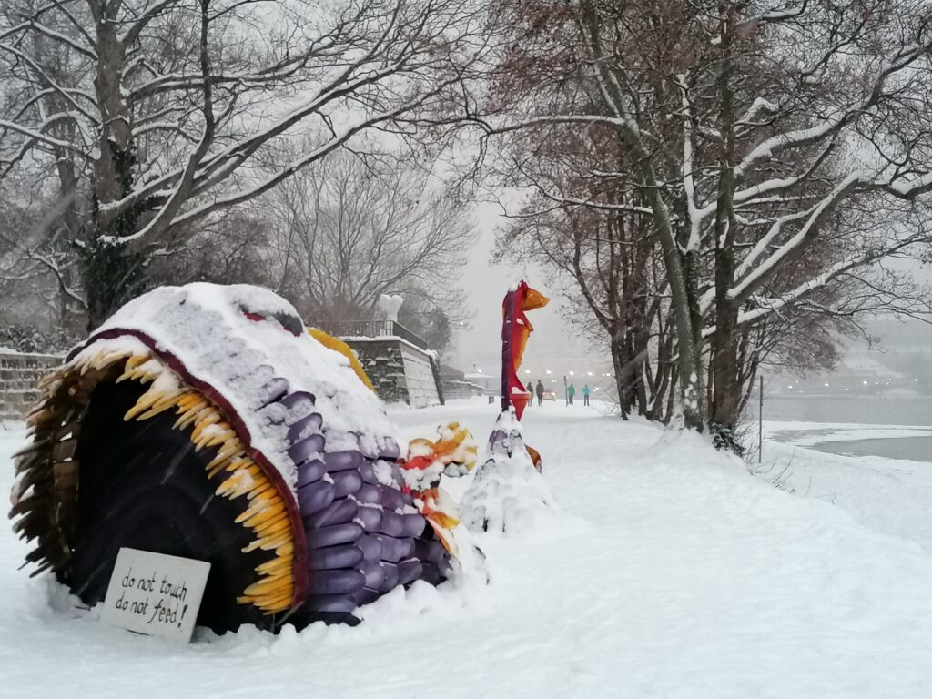 Dresden im Winter