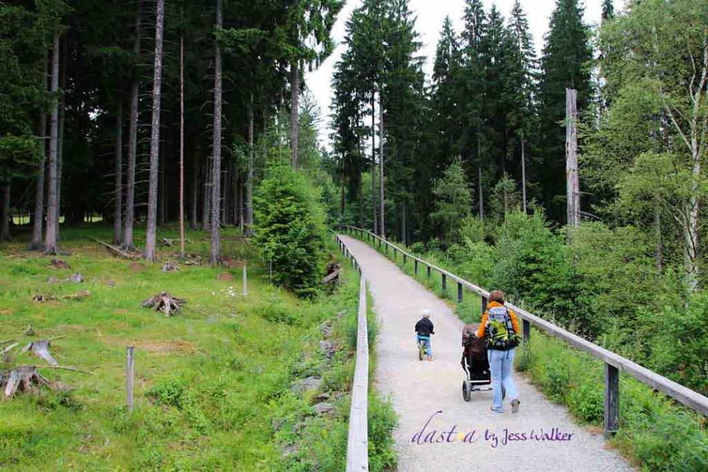 Ausflugsziele Süddeutschland Bayerischer Wald