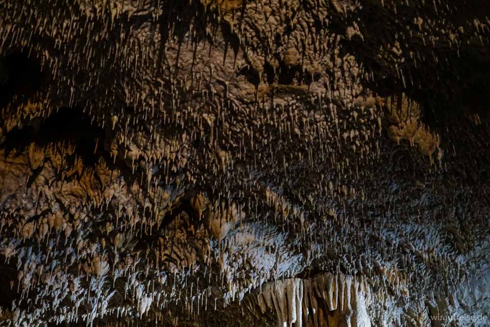 Bärenhöhle