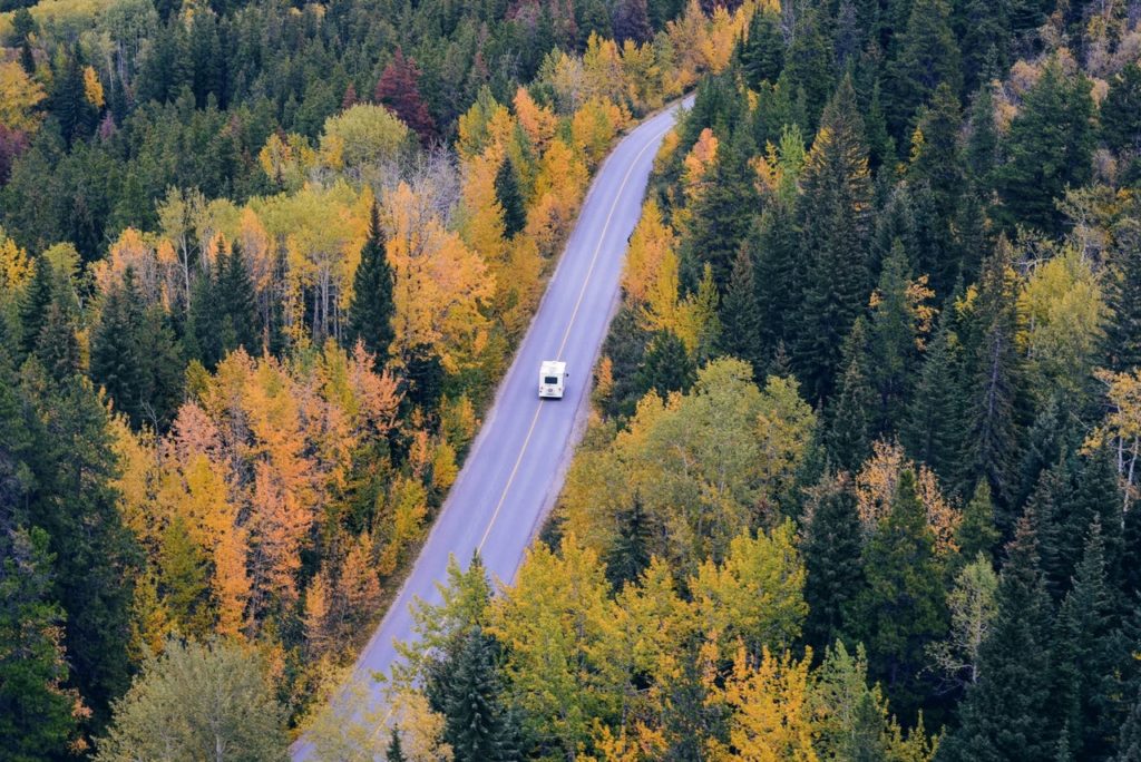 Camper-Roadtrip in Europa Straße im Wald