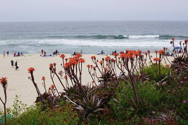 Die Halfmoon-Bay - beliebtes Wochenendziel der San Franciscaner