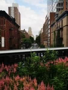 New York Geheimtipps High Line