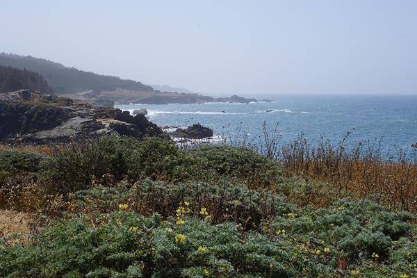 Salt-Point-Vistapoint