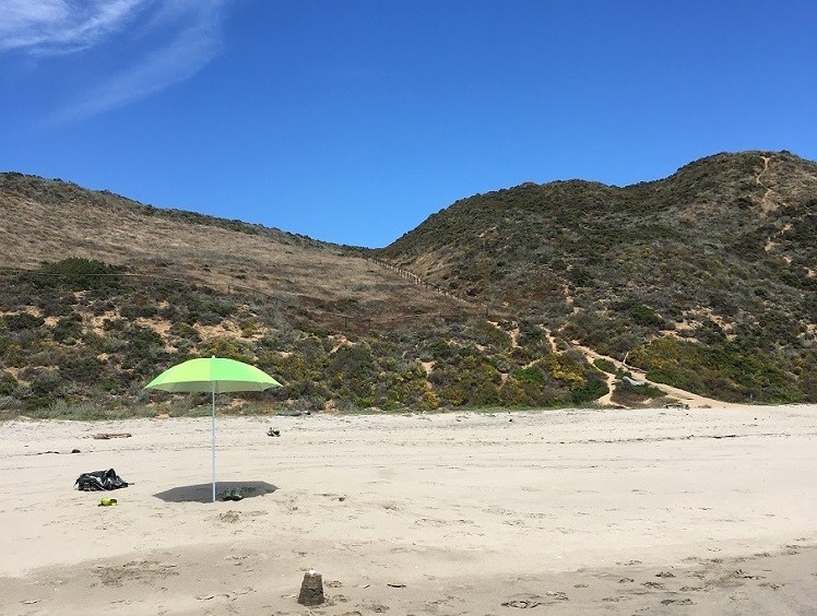 Sonne tanken am Sunset State Beach