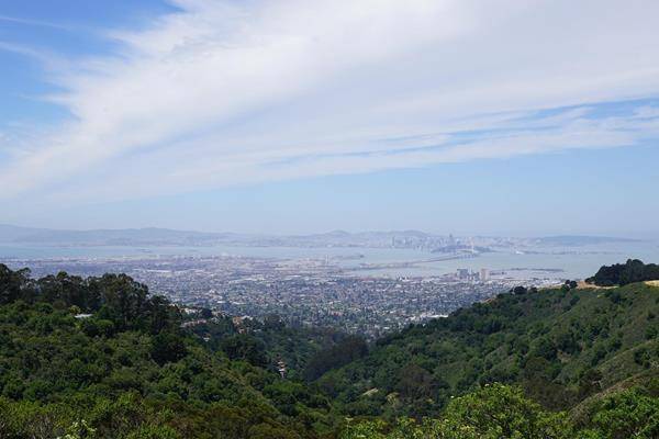 Blick auf San Franciso vom Tilden Regional Park