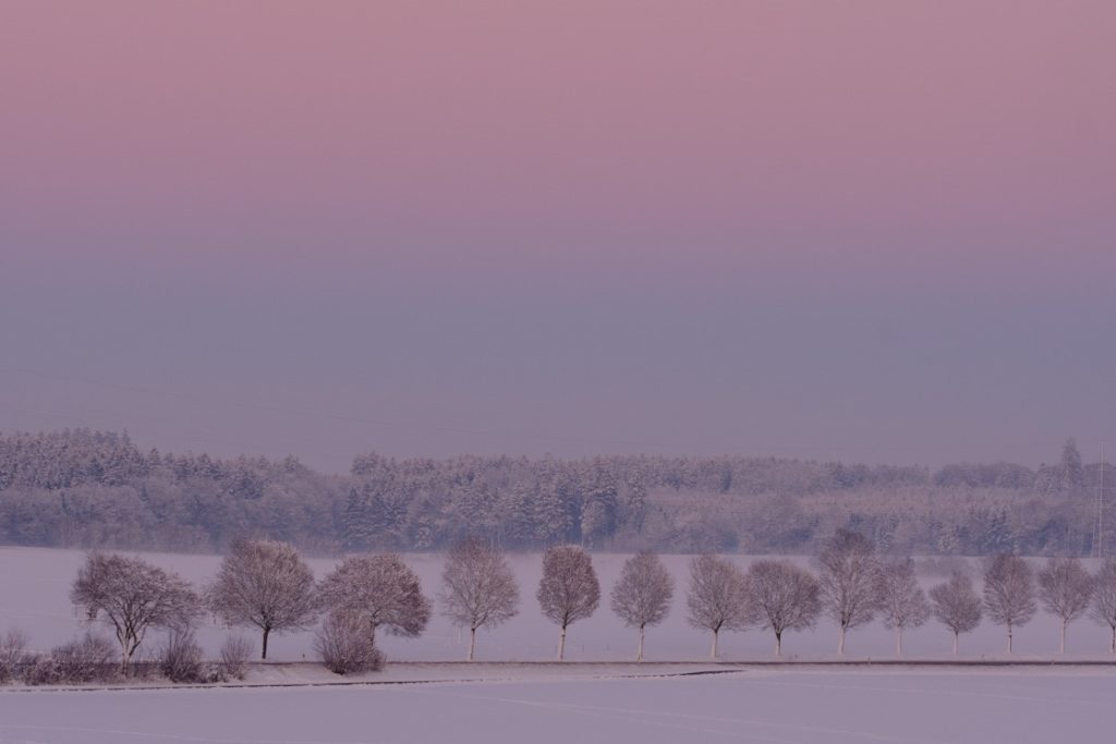 Biberacher Umland im Winter