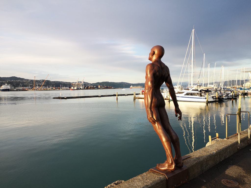 Wellington Harbour Solace in the Wind