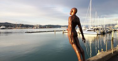 Wellington Harbour Solace in the Wind