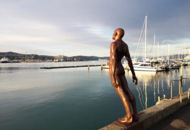 Wellington Harbour Solace in the Wind