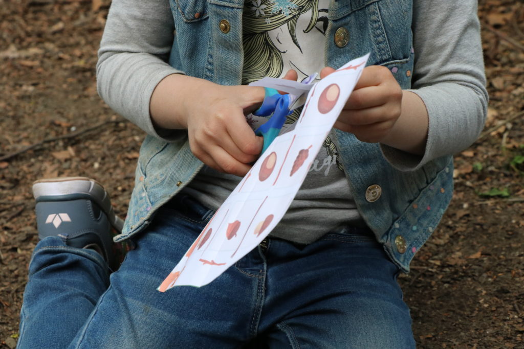 Ausgefuxt Wald-Schatzsuche im Test