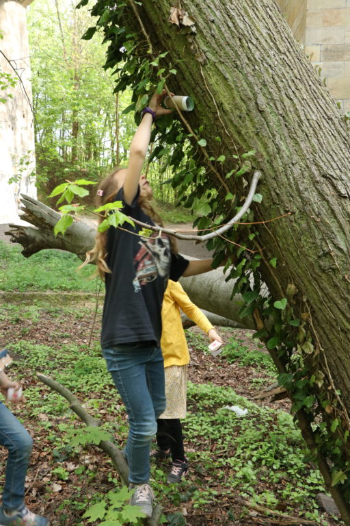 Ausgefuxt Wald-Schatzsuche im Test