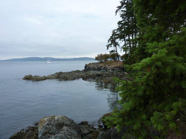 Wohnmobil Rundreise über Vancouver Island mit Kleinkind