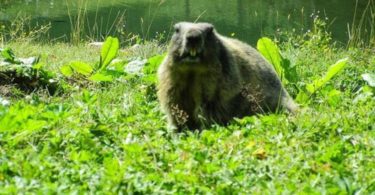 Mühlbach am Hochkönig - leichte Wanderrouten und Ausflugsziele in Salzburg