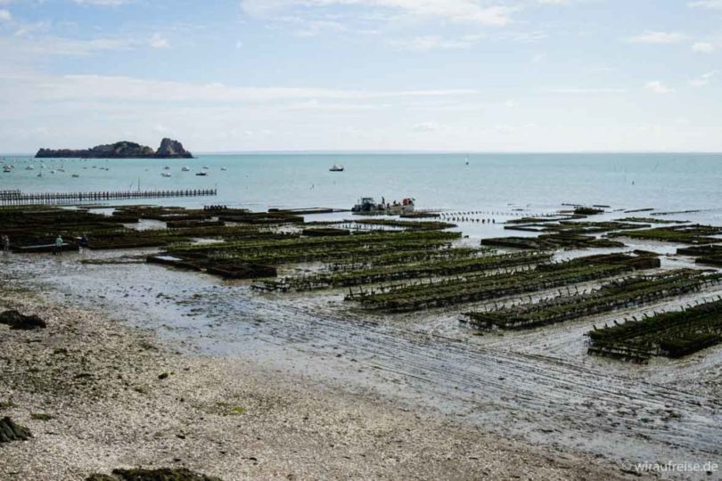 Austernbänke vor Cancale