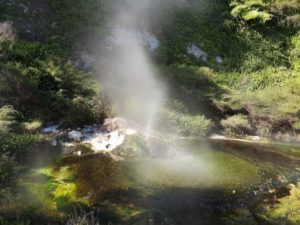 Waimangu Volcanic Valley