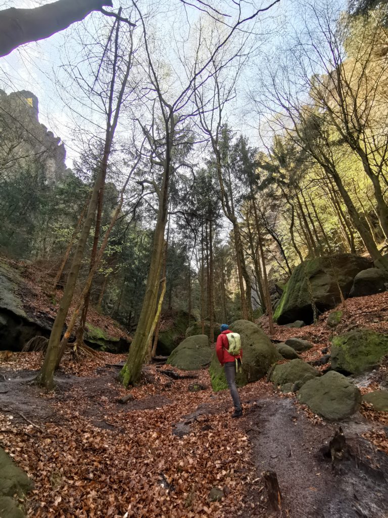 Stiegen in der Sächsischen Schweiz Zwillingsstiege