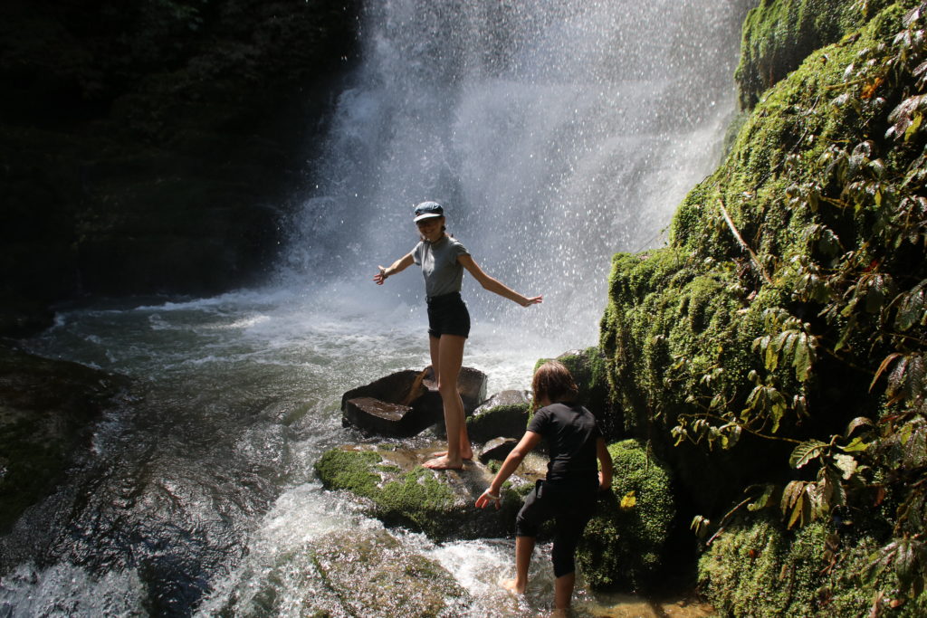 Waitanguru Falls Neuseeland