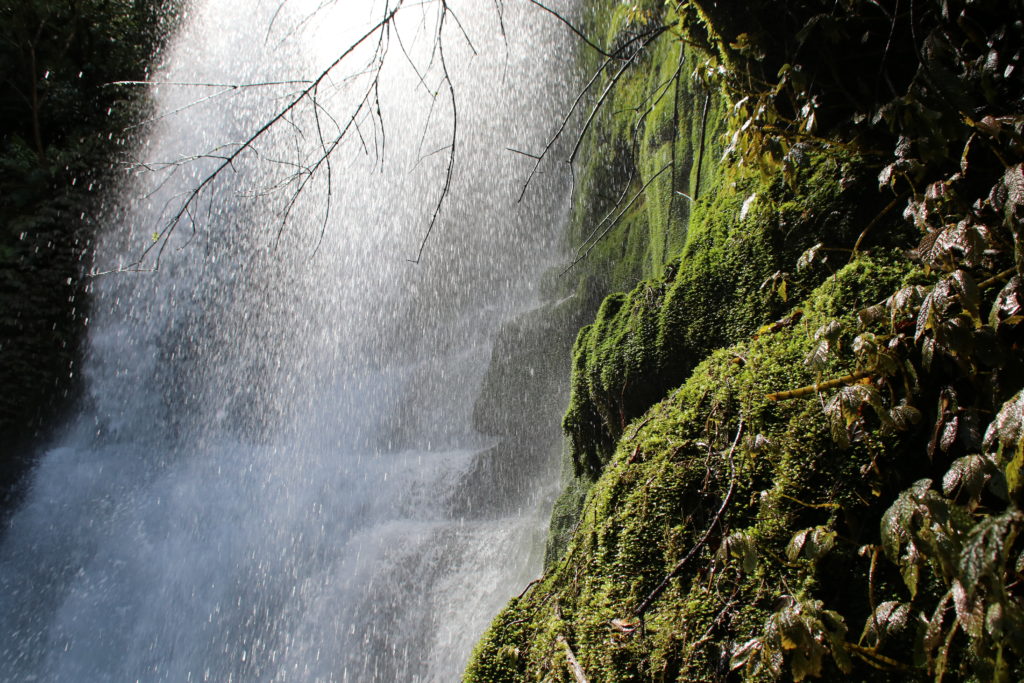 Wasserfälle in Neuseeland