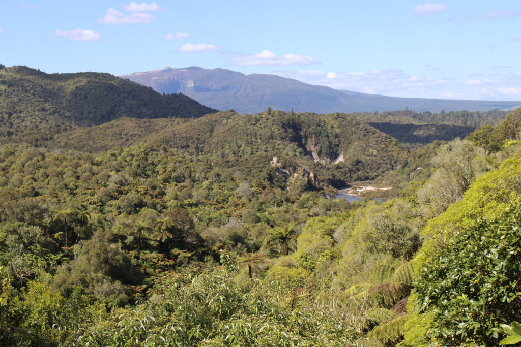 Waimangu Volcanic Valley Tarawera