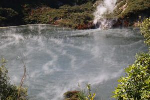 Waimangu Volcanic Valley