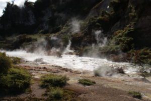 Waimangu Volcanic Valley