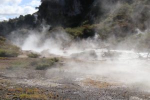 Waimangu Volcanic Valley
