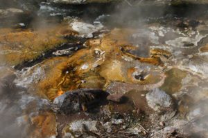 Waimangu Volcanic Valley