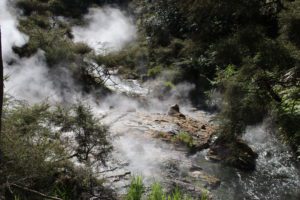 Waimangu Volcanic Valley